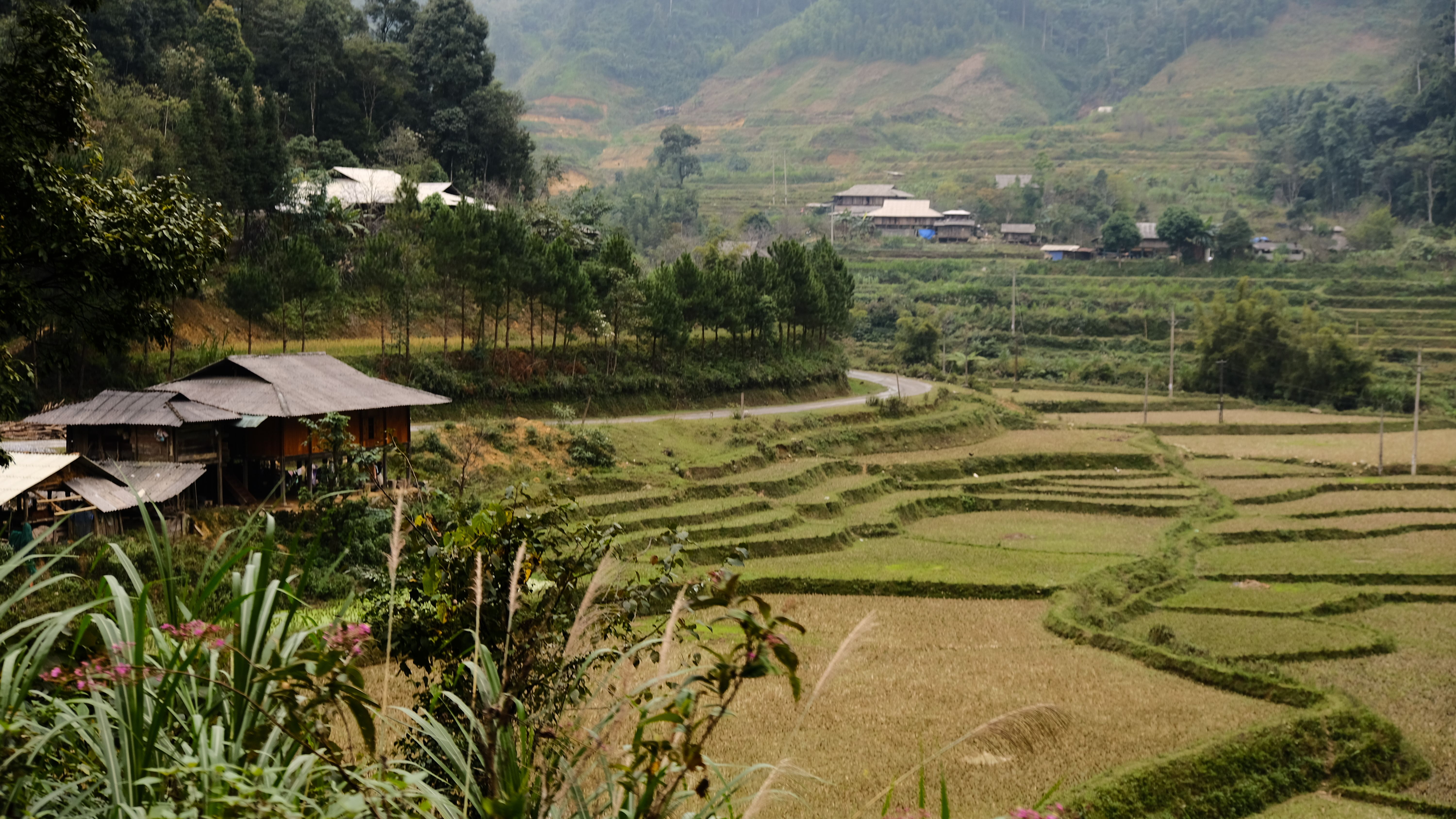 Feature Content Image